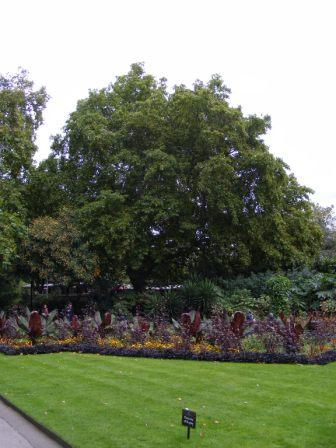 EMB_E_2010_268