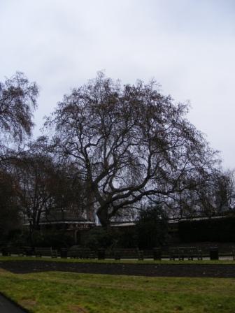 EMB_E_2010_365