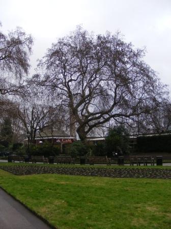 EMB_E_2011_042