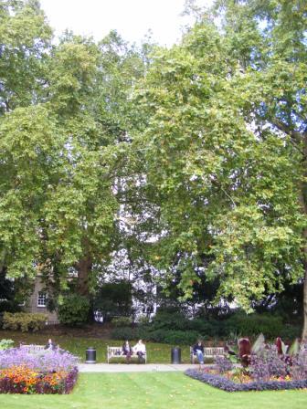 EMB_N_2010_258