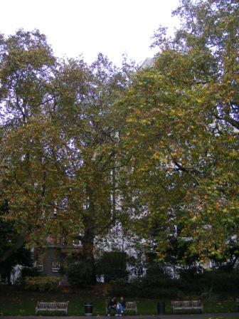 EMB_N_2010_309