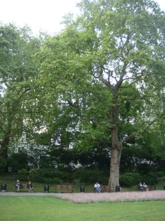 EMB_N_2011_118