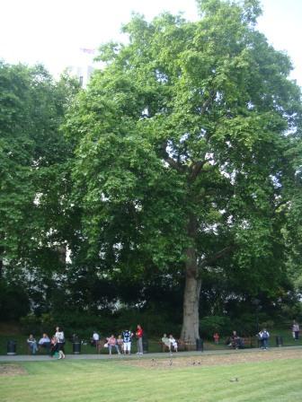 EMB_N_2011_153
