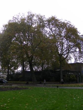 EMB_S_2010_306
