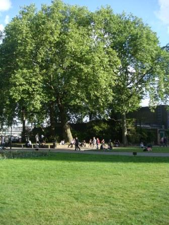 EMB_S_2011_129