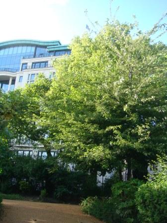 TEM_E_2011_129