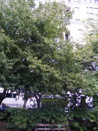 TEM_N_2010_225