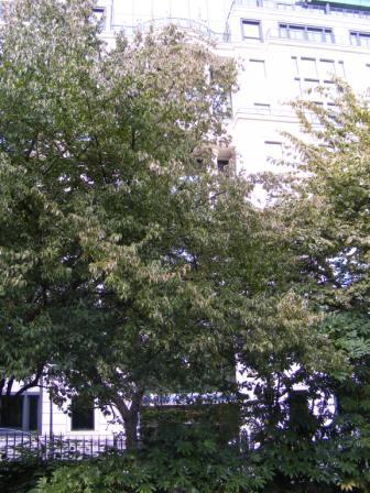 TEM_N_2010_272
