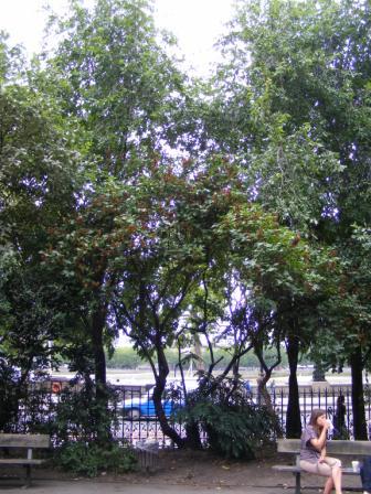 TEM_S_2010_218