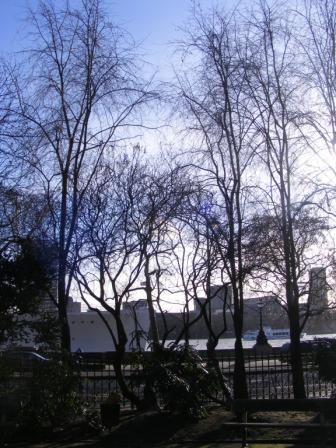 TEM_S_2011_034