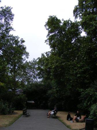 TEM_W_2010_211