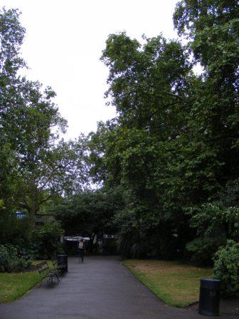 TEM_W_2010_225