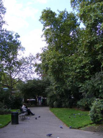 TEM_W_2010_258