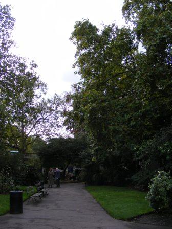 TEM_W_2010_272