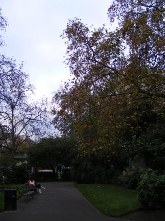 TEM_W_2010_329