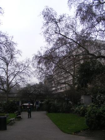 TEM_W_2011_049