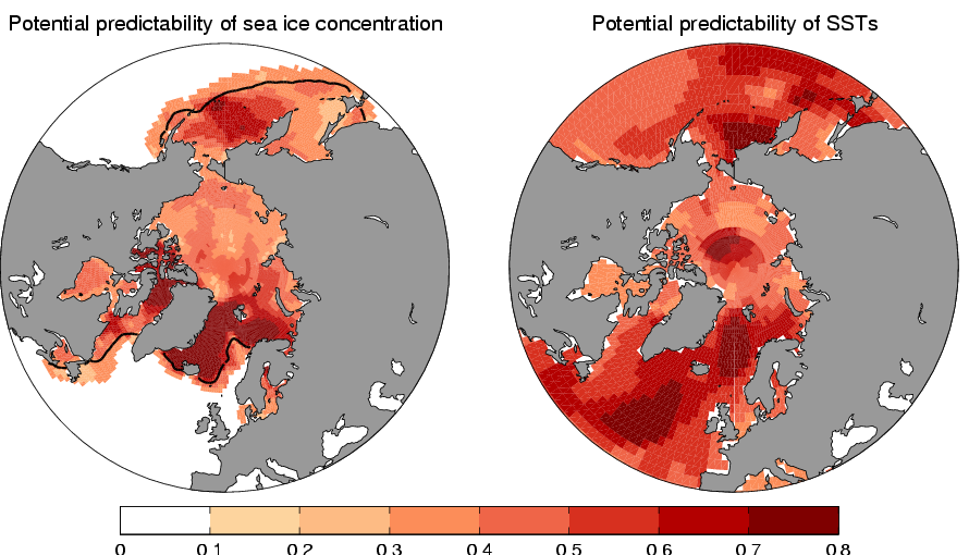 Potential predictability in the BCM Potential predictability in the BCM