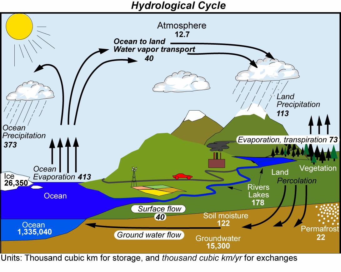 Hydrological Cycle