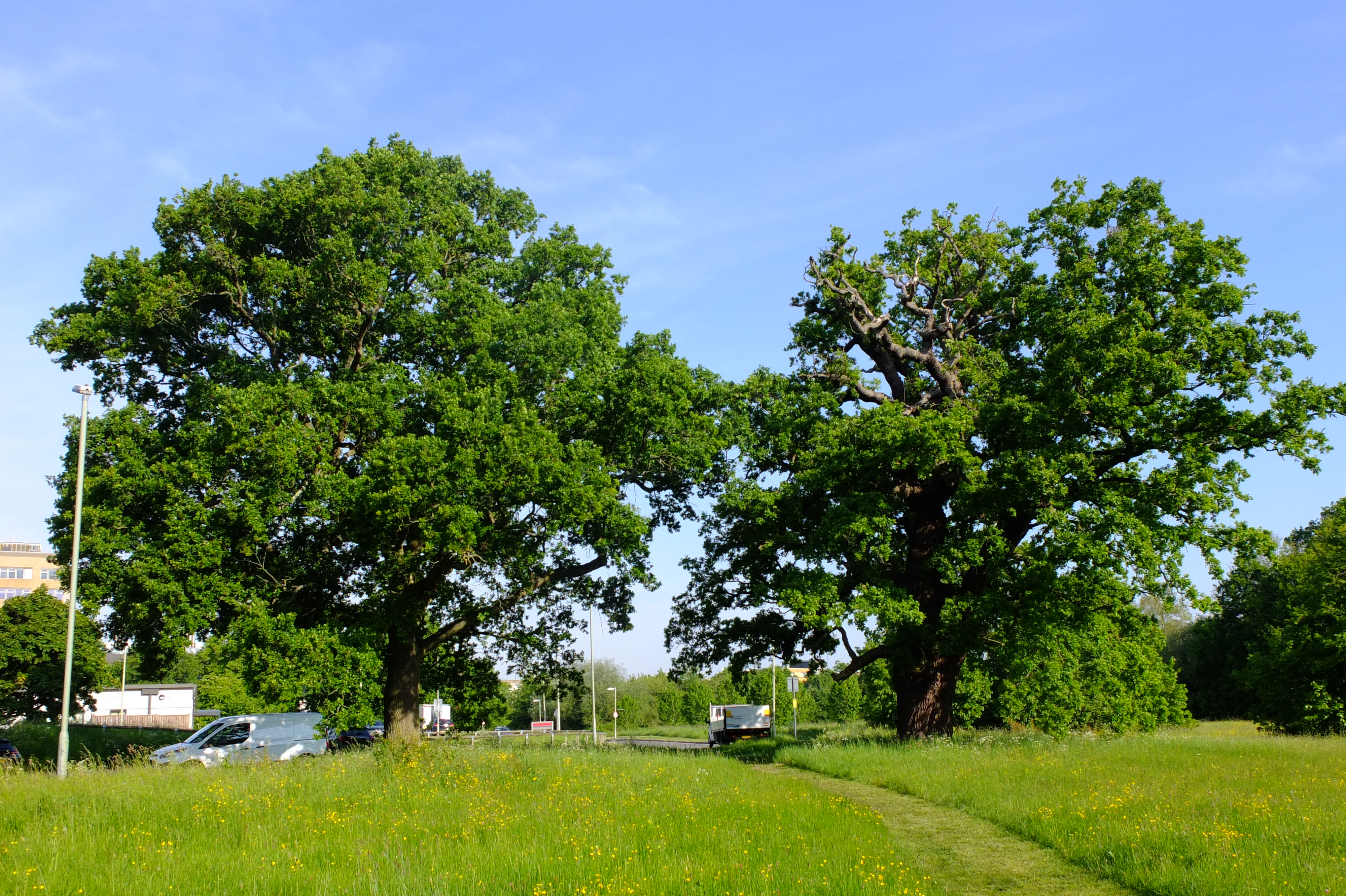 full-size image