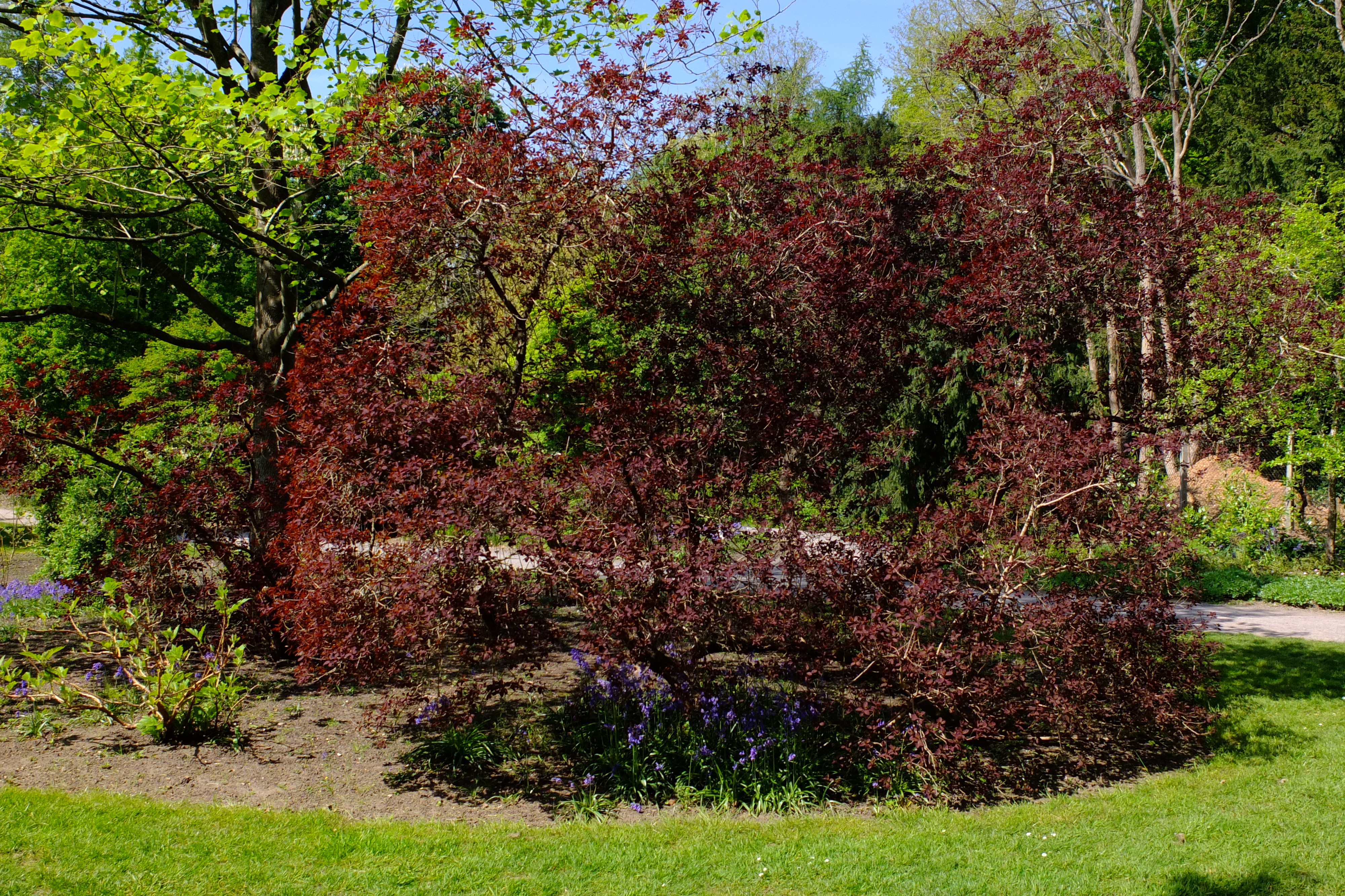 full-size image