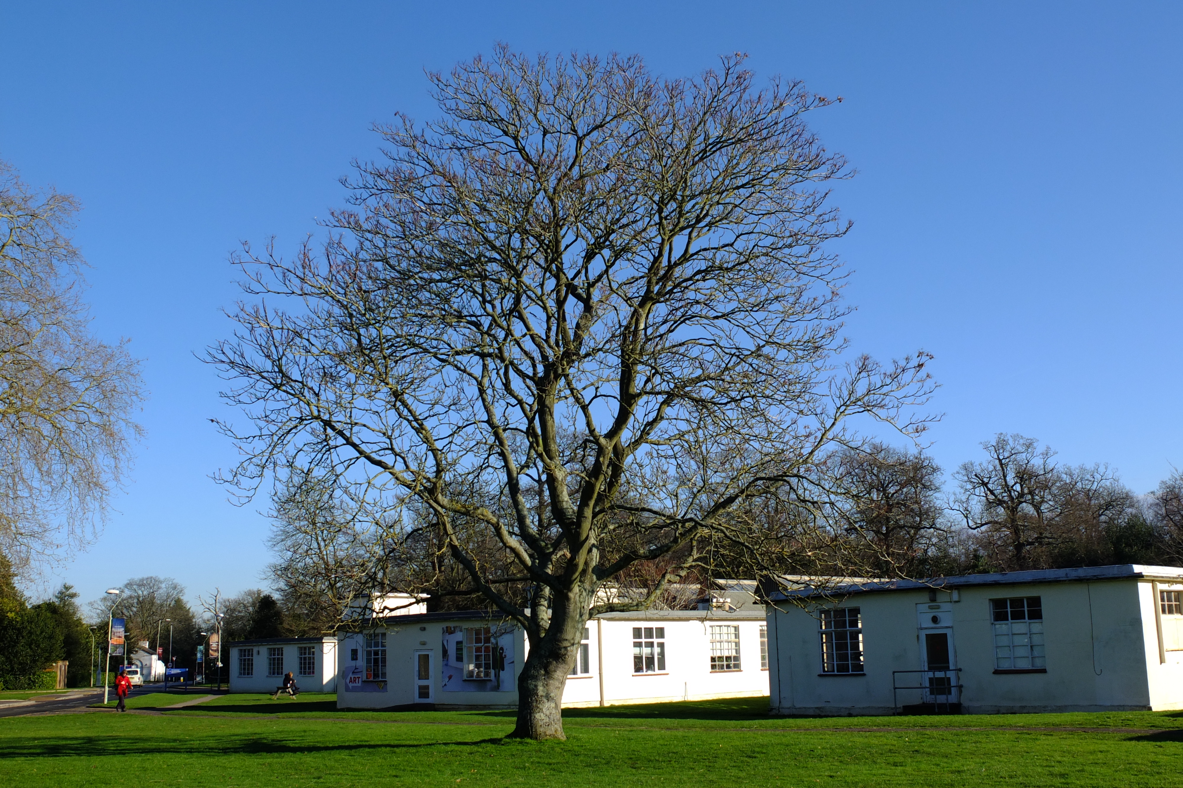 full-size image