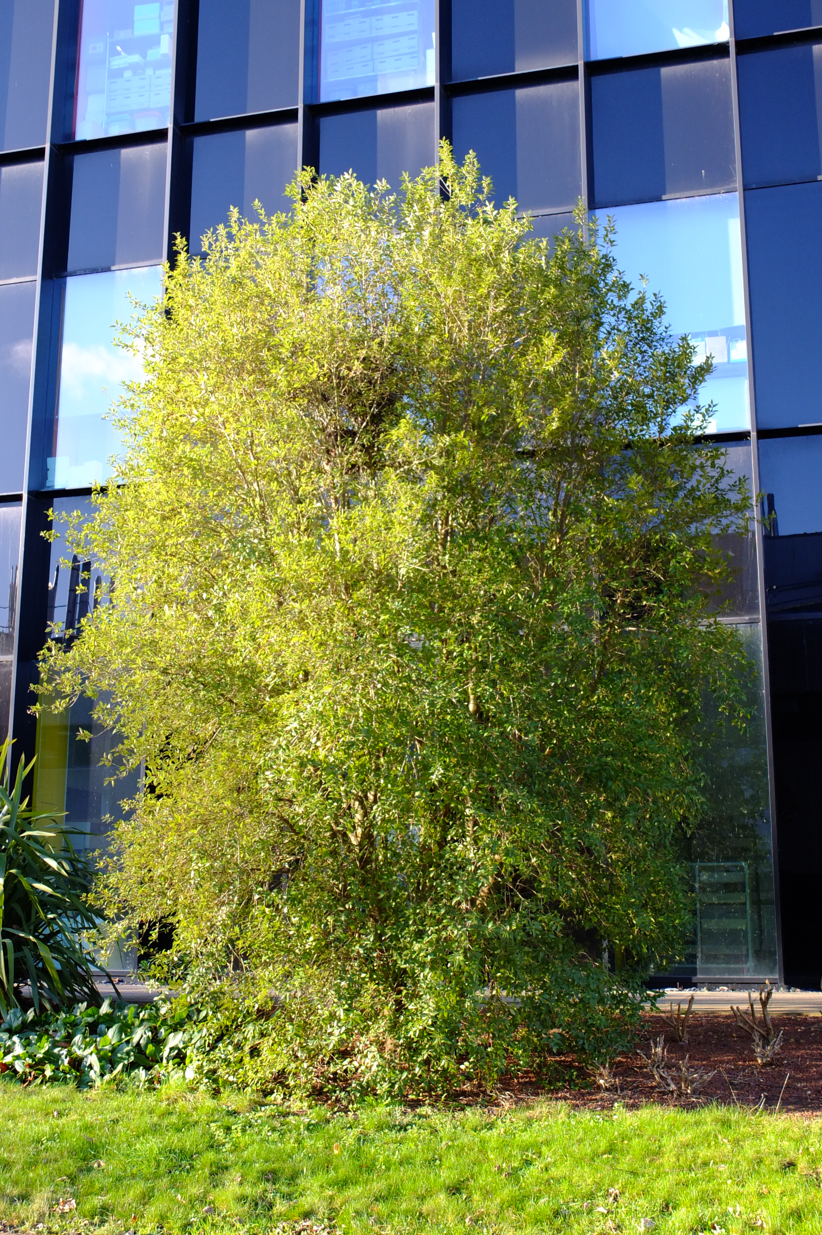 full-size image