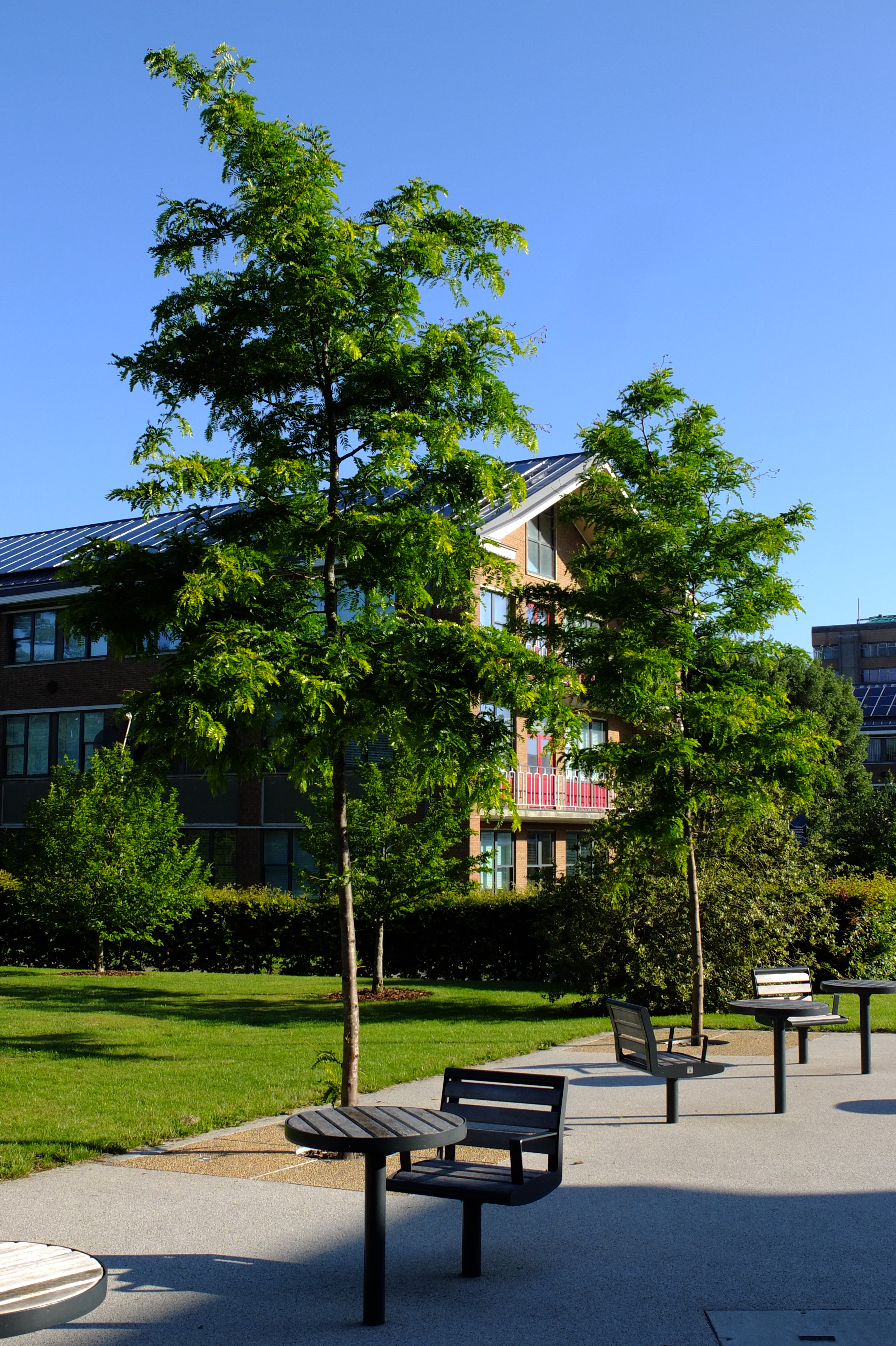 full-size image
